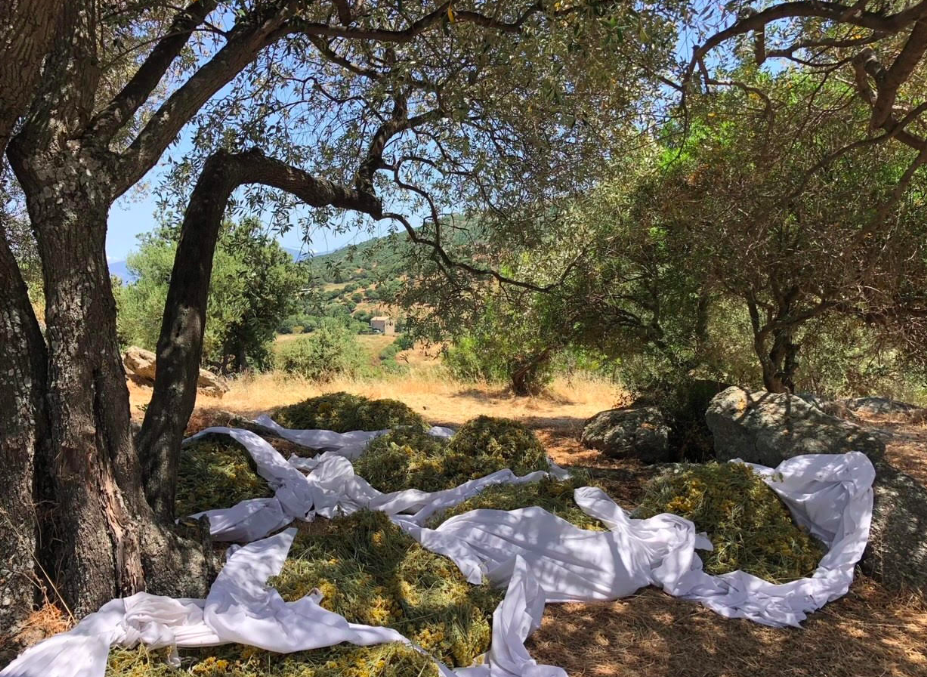 Crédit photo Michel Dubost