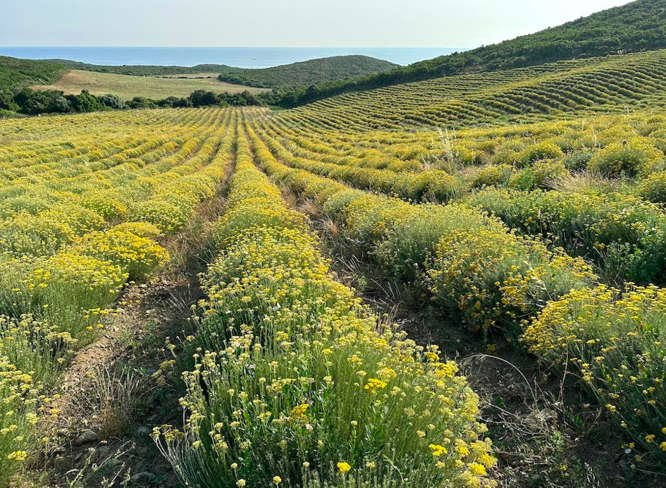 Crédit photo Michel Dubost