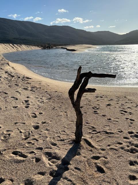 La photo du jour : A massedda di Capulaurosu