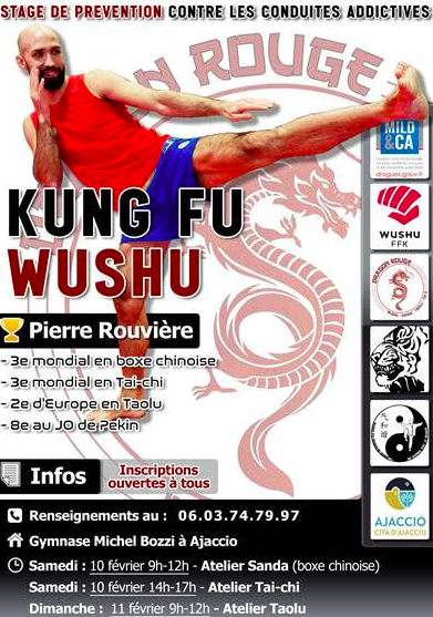 Ajaccio : Un stage de Wushu animé par Pierre Rouvière
