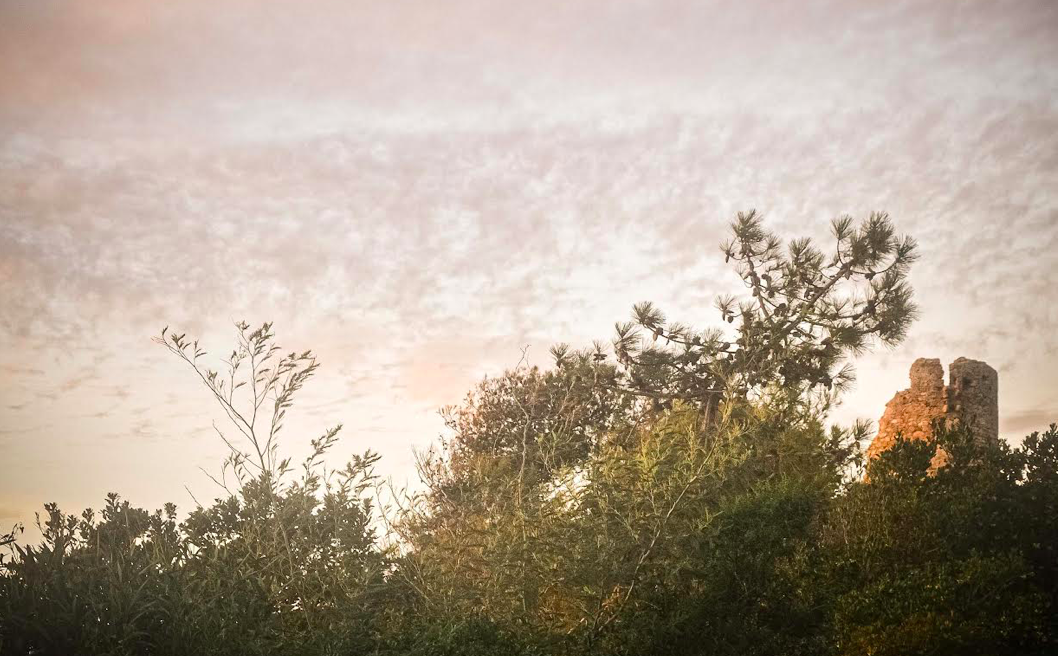 La tour d'Ancone. Photo Viviane Delfini