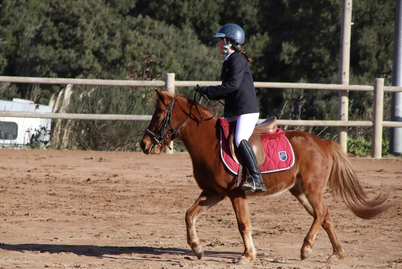 Equitation : Belle fréquentation pour le CSO du Poney Club A Staffa