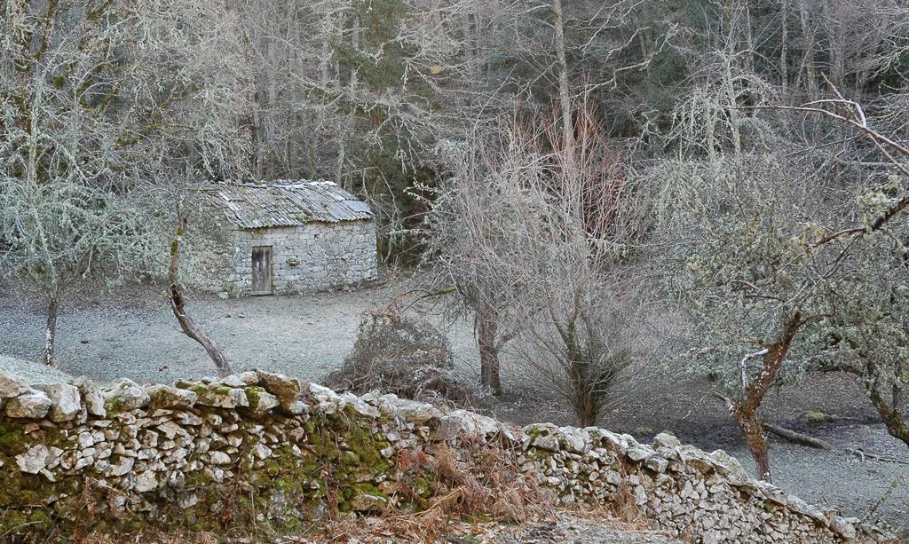 La photo du jour : Sur les hauteurs de Bastelica