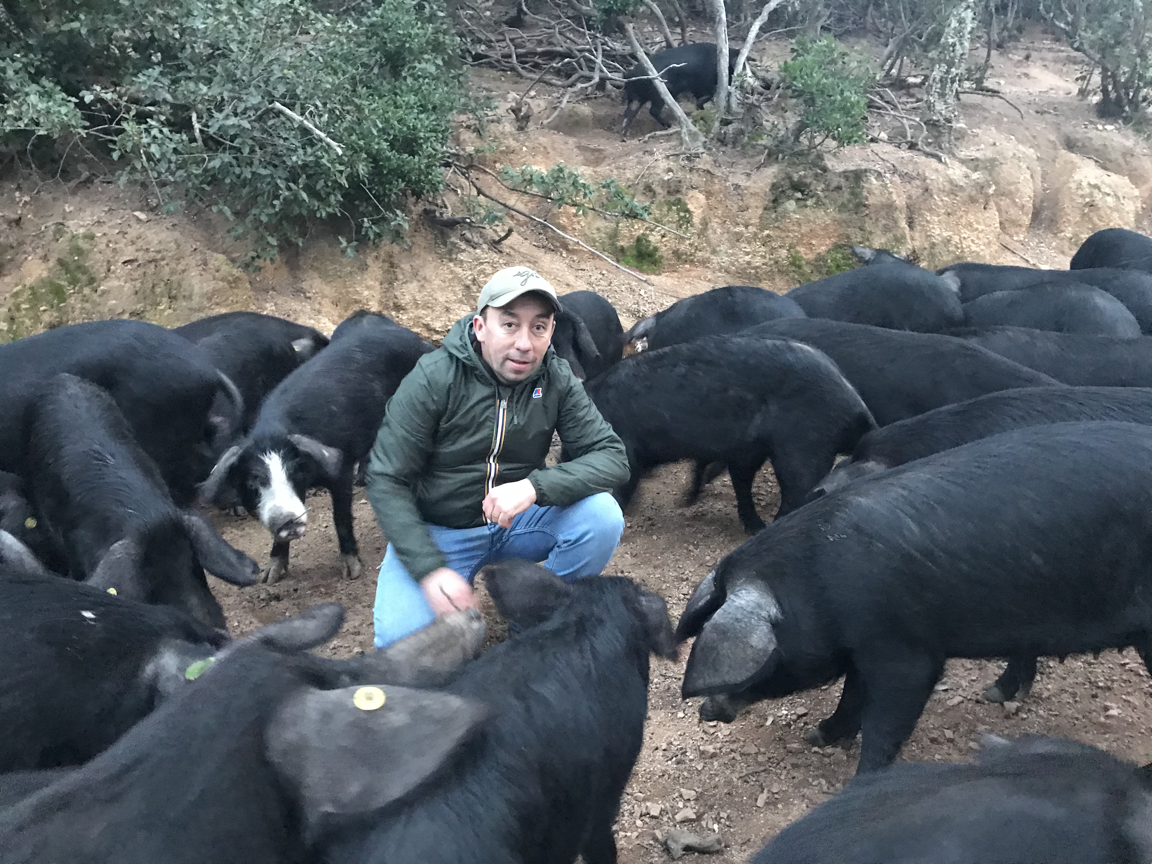 Maxence Finidori est éleveur de porcs corses à Figari. Deux fois par semaine, l'hiver, il doit partir faire abattre ses bêtes à deux heures et demi de route de chez lui.