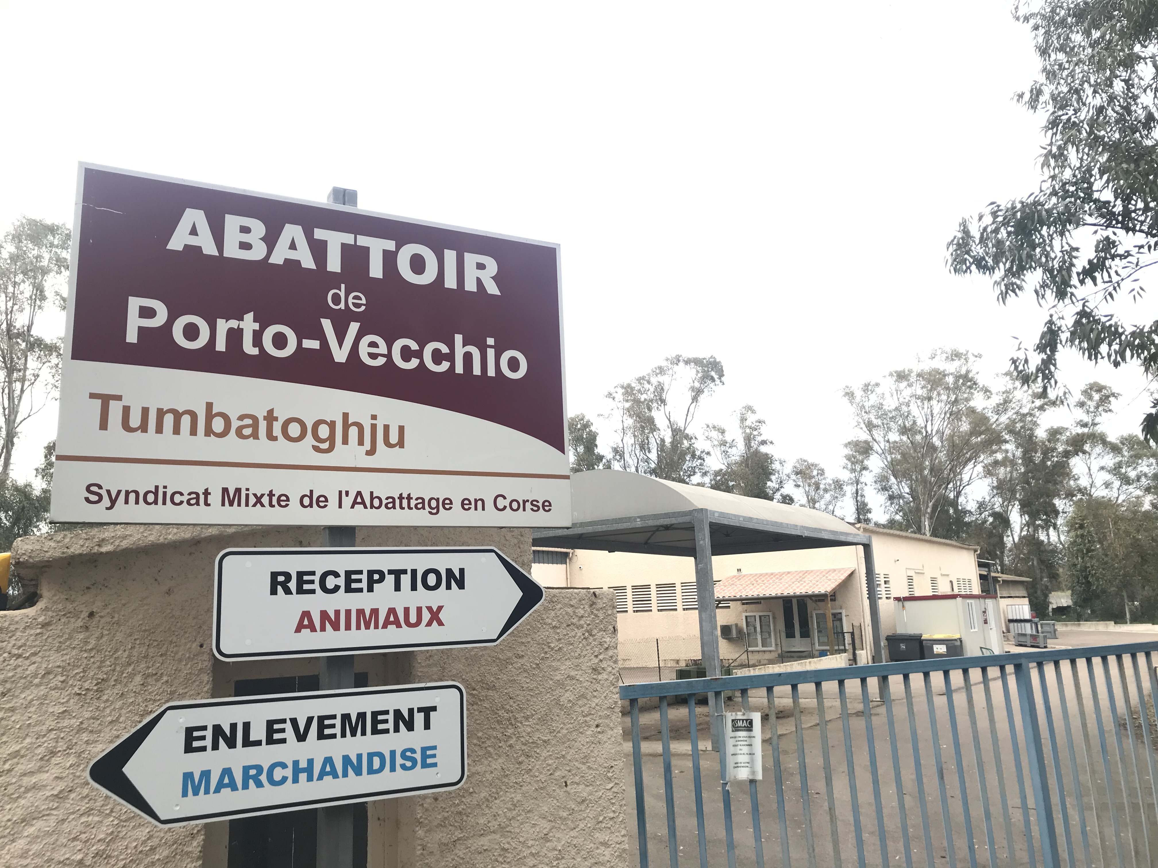 L'abattoir de Porto-Vecchio est à l'étroit. Pour s'étendre, il faudra déménager.