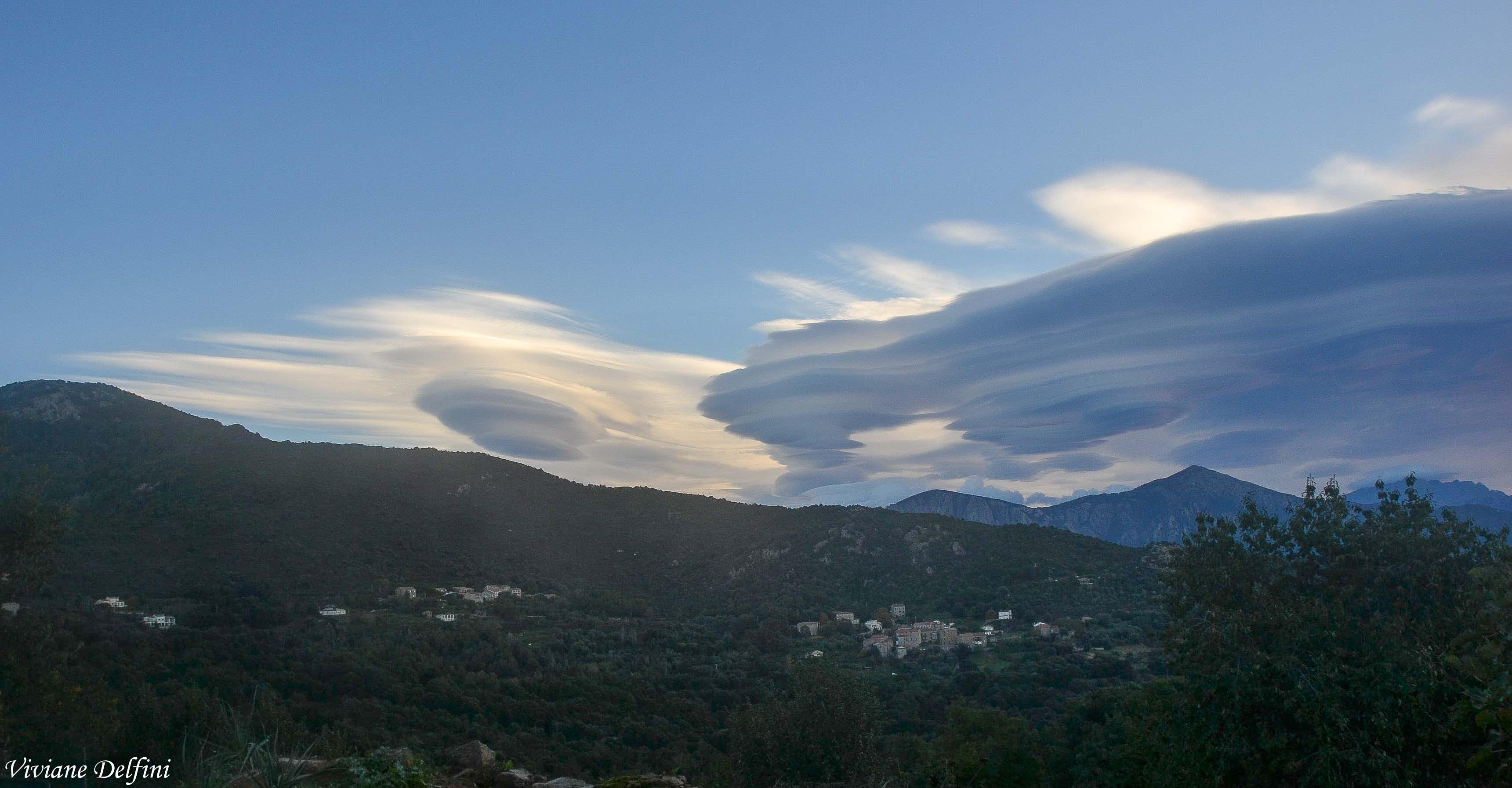 Jour de vent à Coggia (Viviane Delfini)
