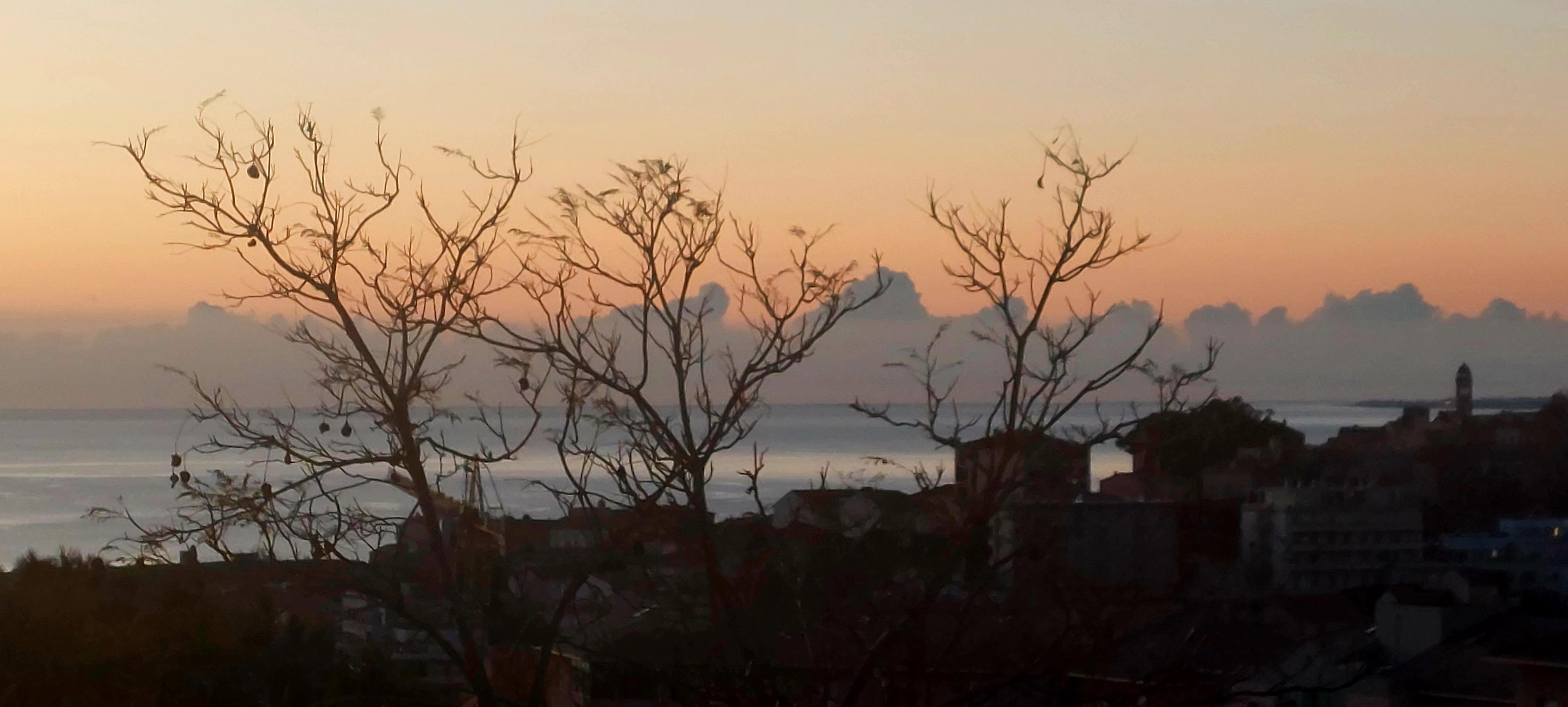 (Françoise Geronimi)