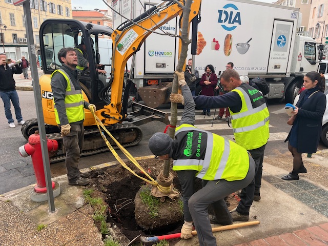 ​Ajaccio : la place Foch se revégétalise
