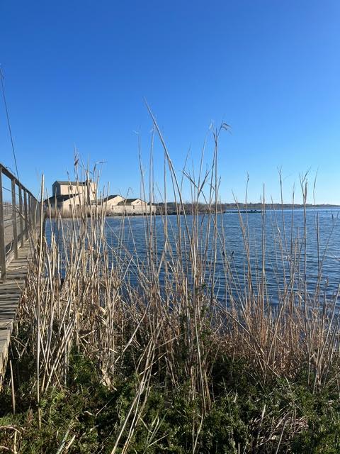 Le fortin de Chjurlinu (Alexandra Marchetti)