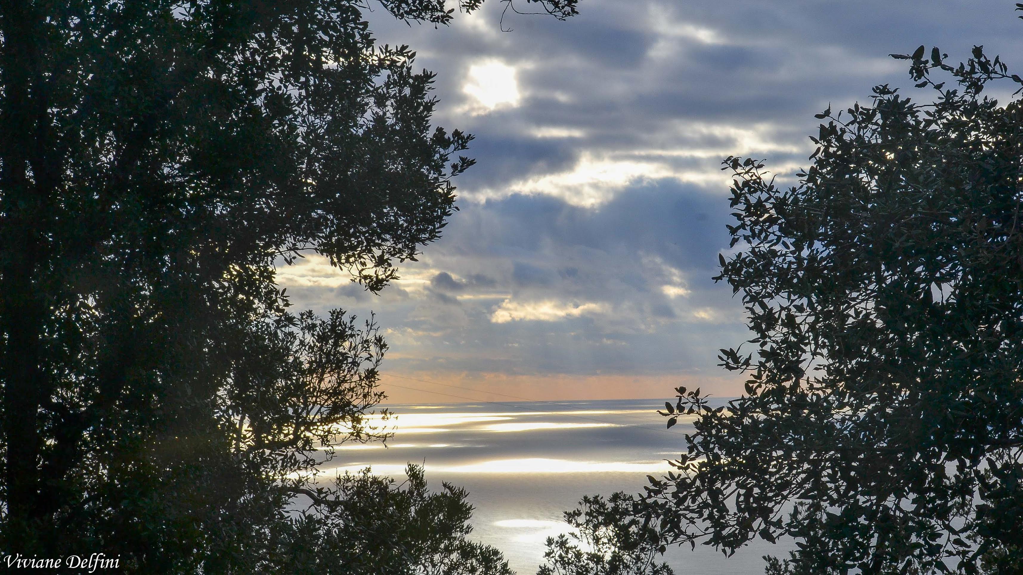 Le ciel de Coggia (Viviane Delfini)