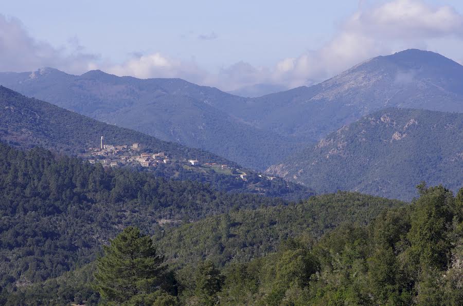 Cruica (oseph Dornbusch)