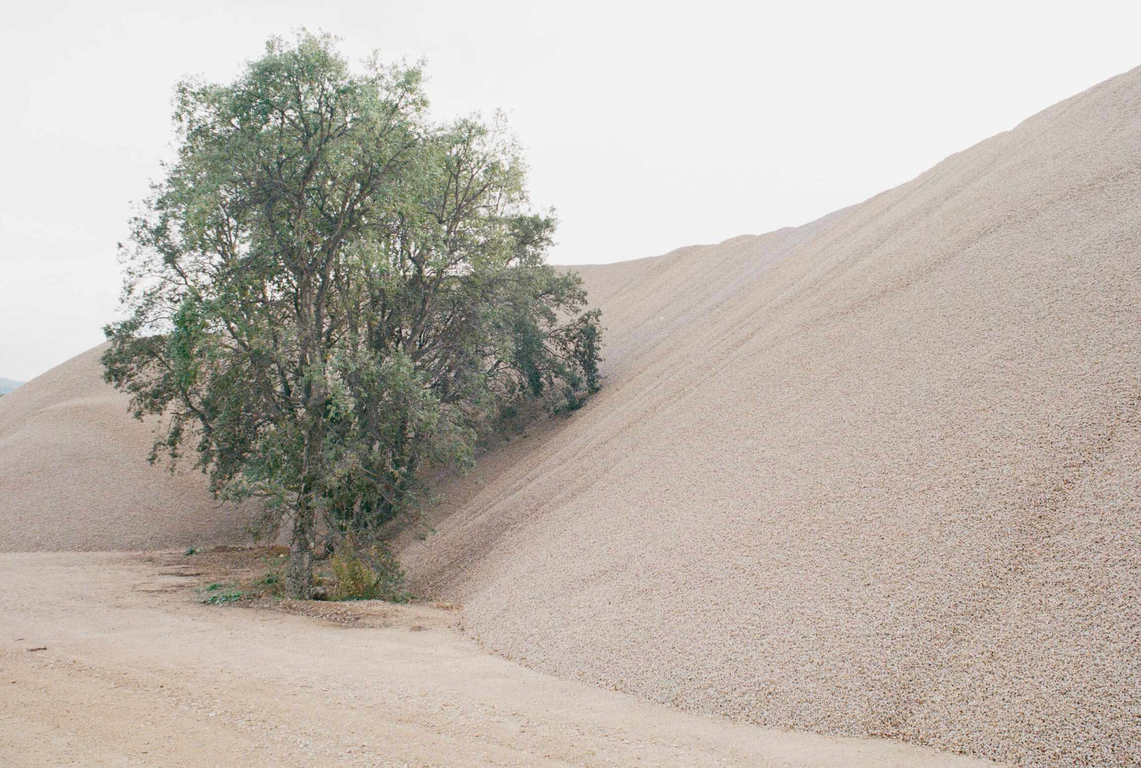 ​Ajaccio : « Area », la troublante exposition photo de Yoann Giovannoni
