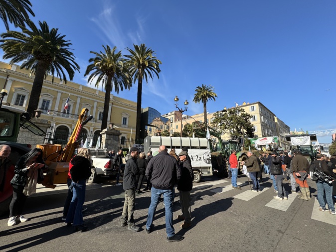 Le 30 janvier dernier, près de 200 agriculteurs représentants les différents syndicats insulaires avaient manifesté à Ajaccio.