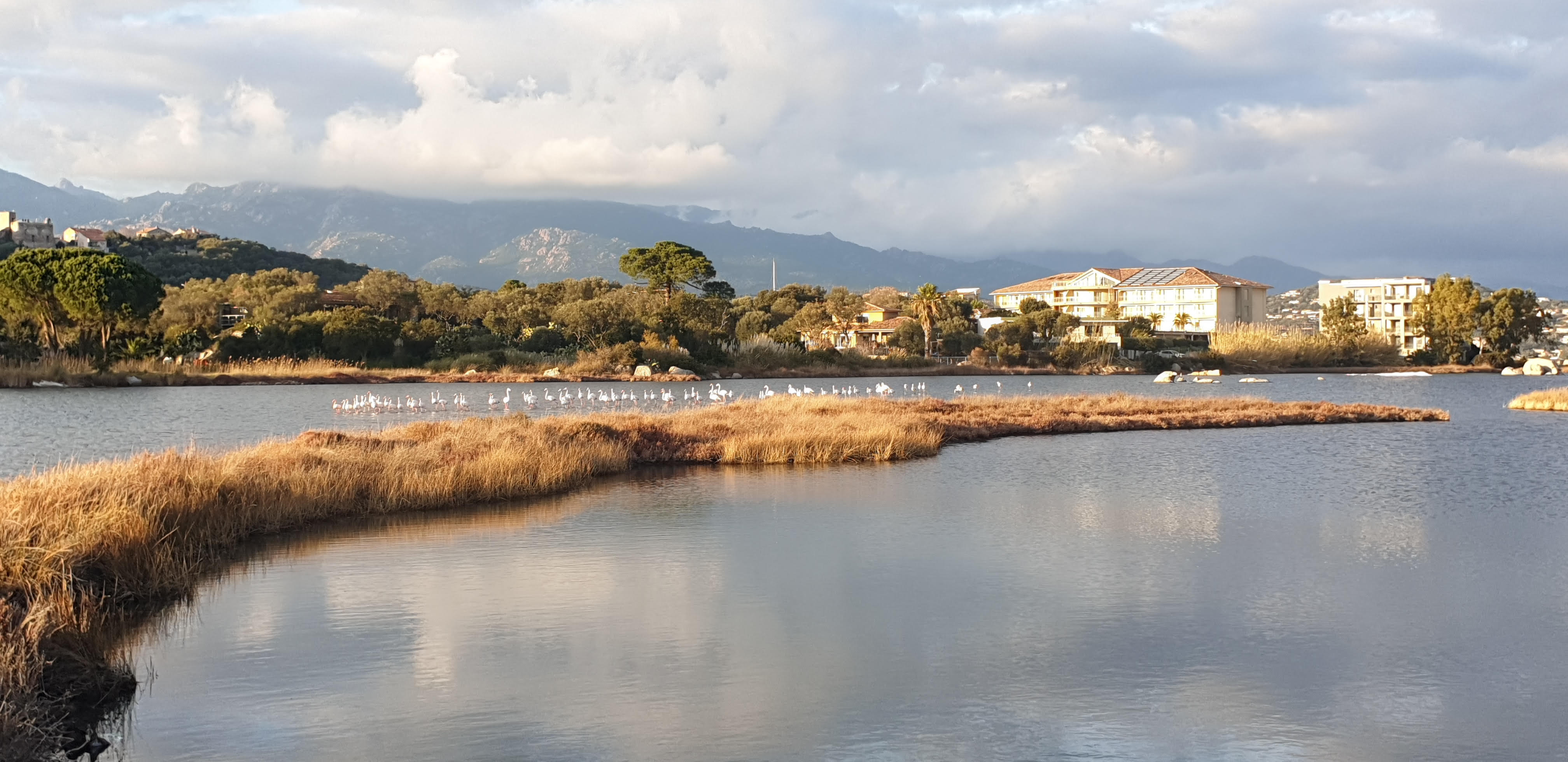 La photo du jour : les marais salants de Portivechju