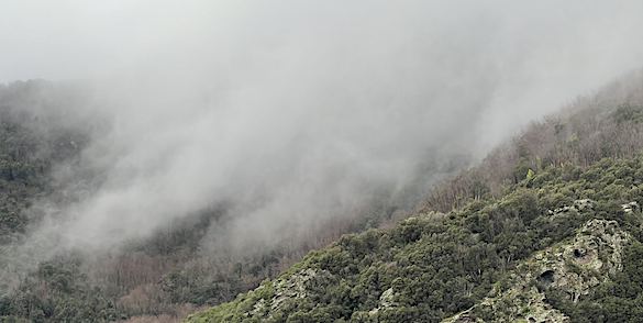La météo du jour en Corse