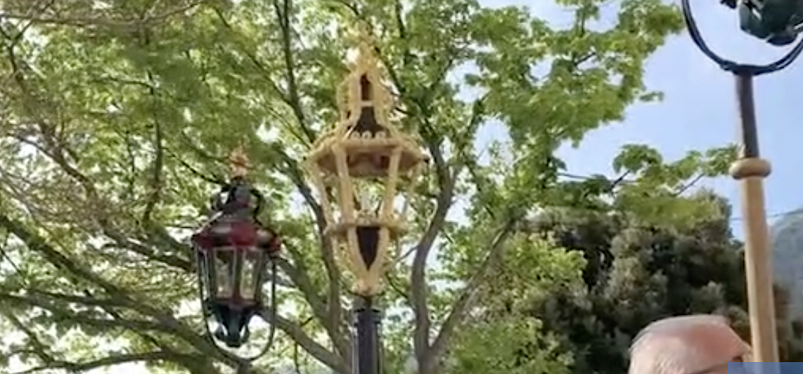 Rameaux de Pâques : comment faire avec la disparition des palmiers ?