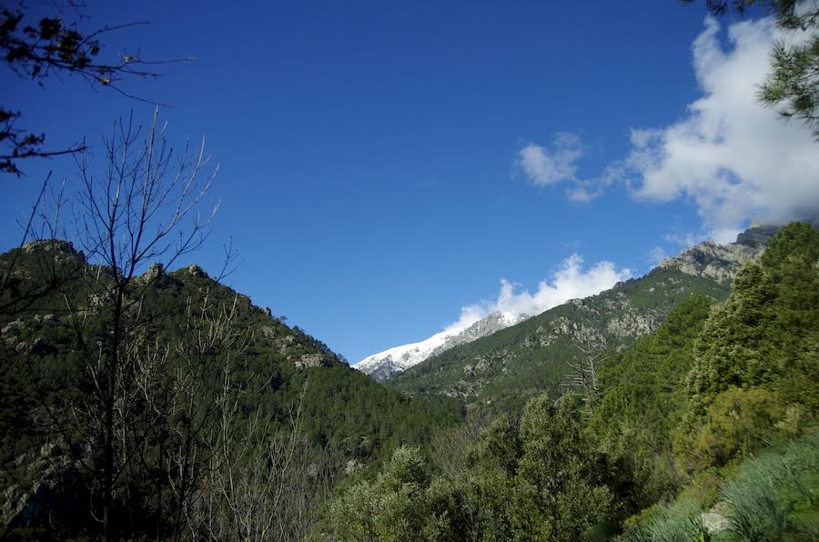 Dans le Verghellu  (Joseph Dornbusch)