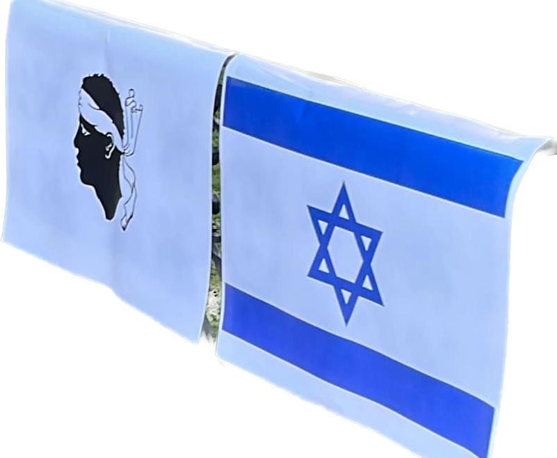 Association Terra Eretz Corsica Israël : "une motion comme un réquisitoire à charge"
