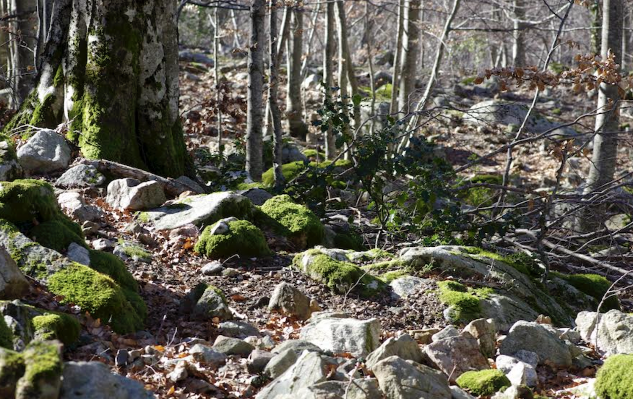 Crédit photo Joseph Dornbusch