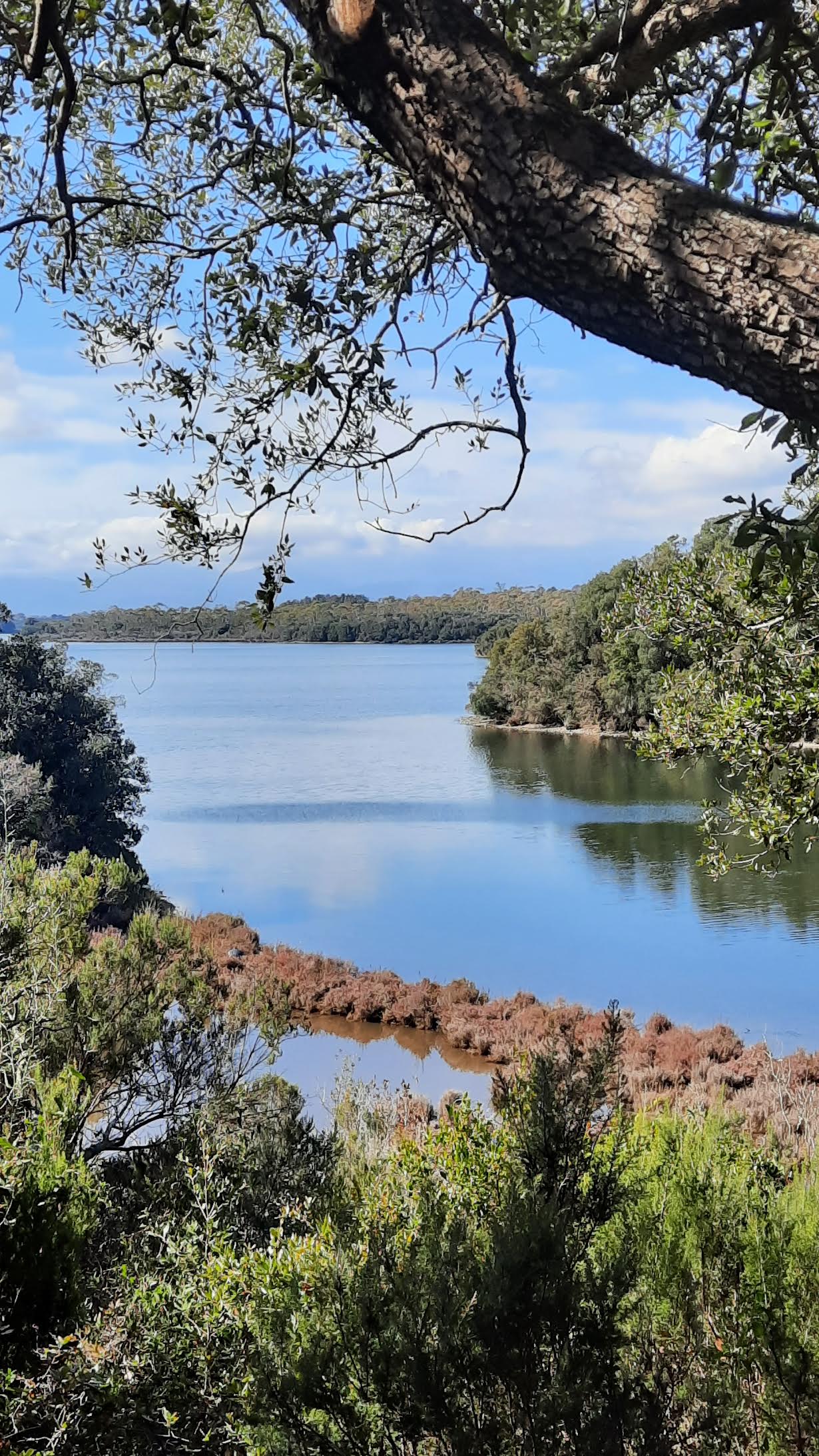 La photo du jour : l'étang de Diana