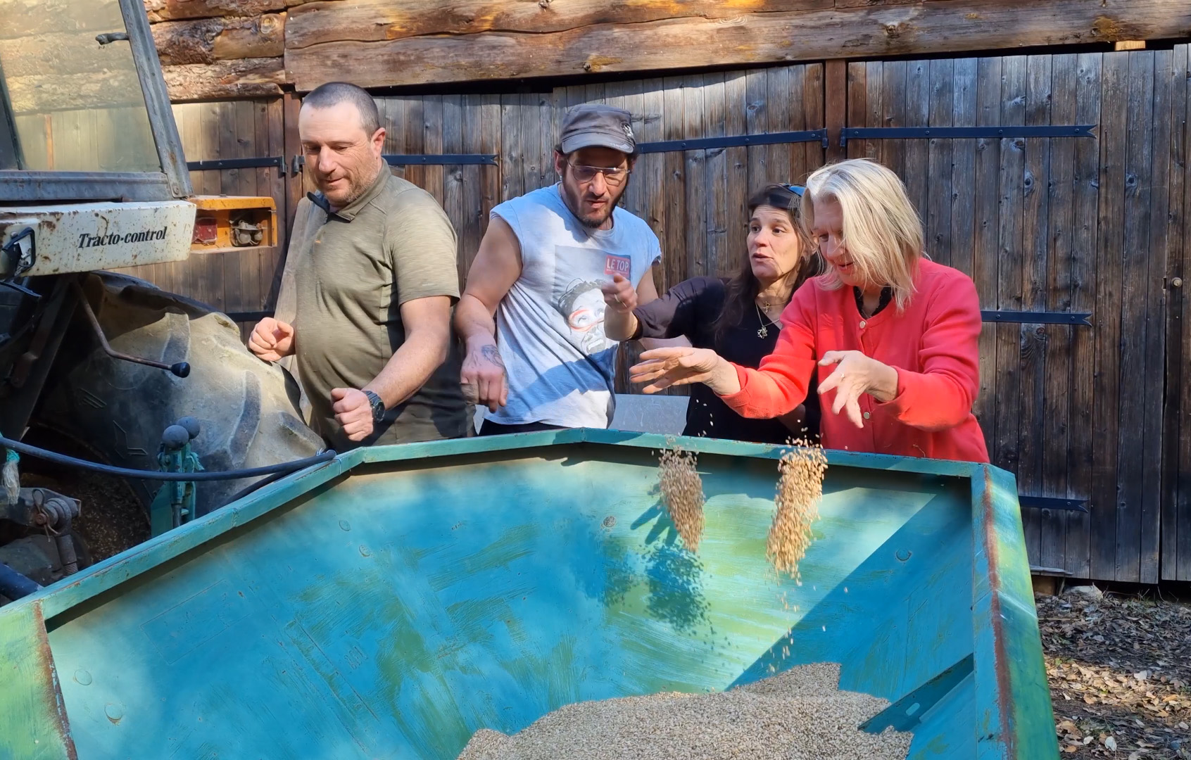 À Corte, la renaissance du blé corse avec l'association U Granu Anticu