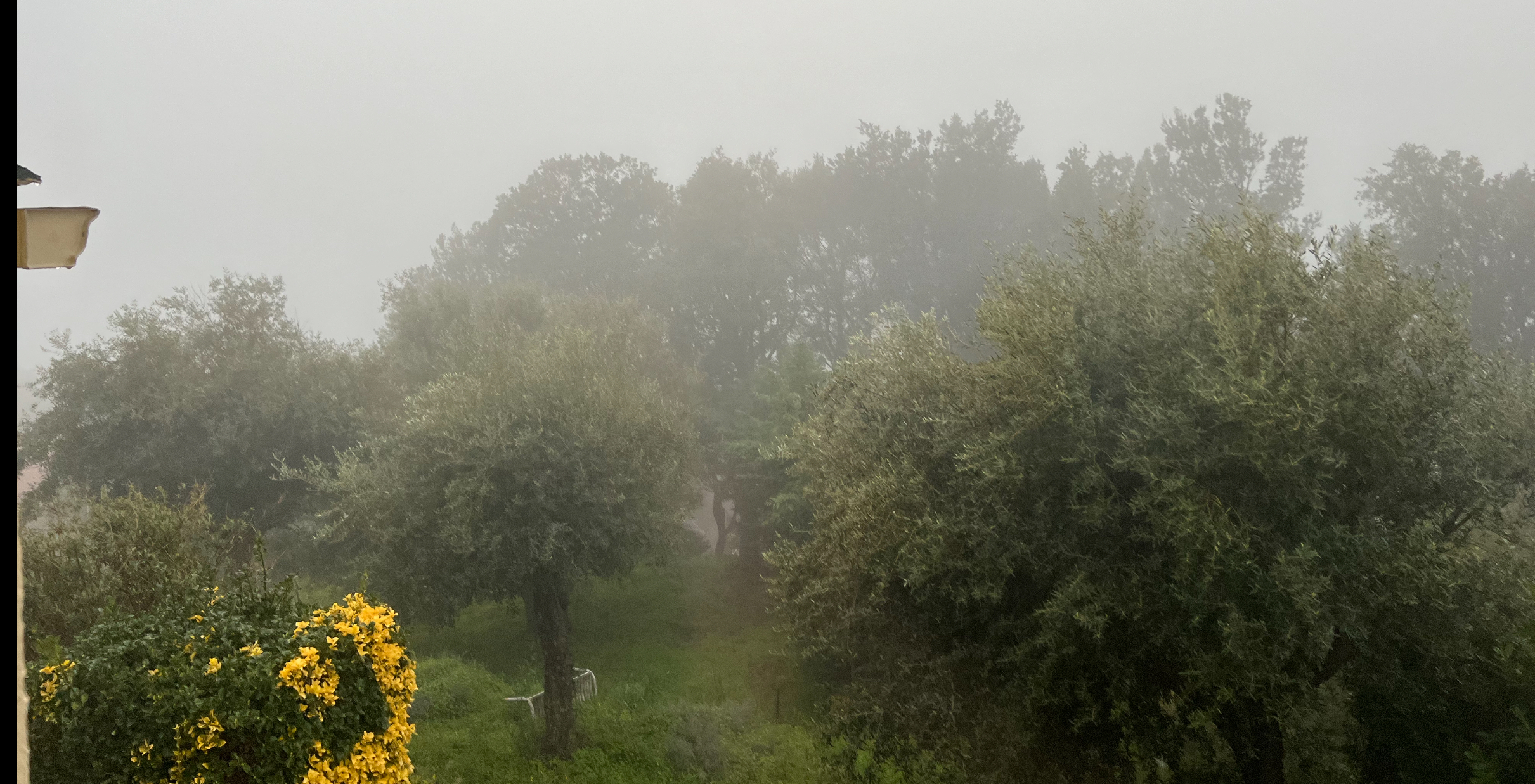 La météo du jour en Corse