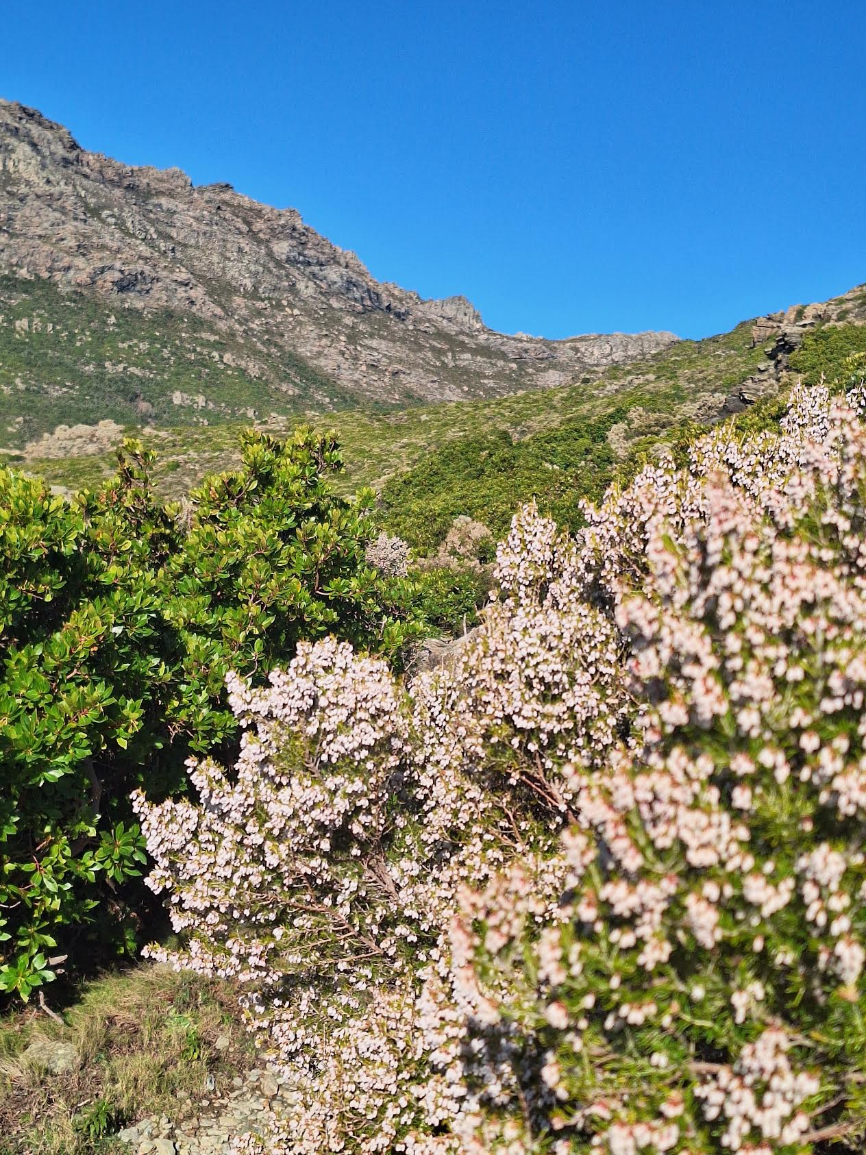 (Christian Gherardi)