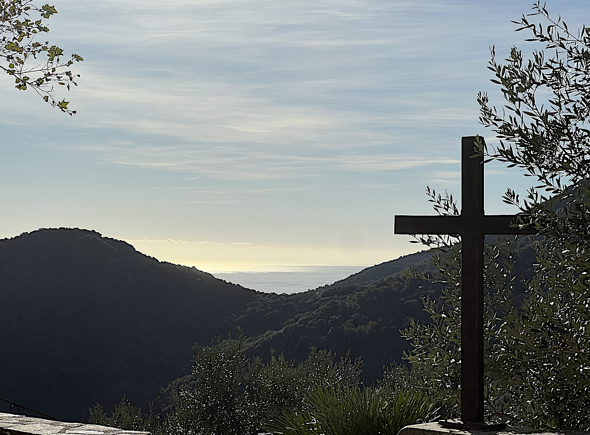 La photo du jour : le silence de la nature capcorsine