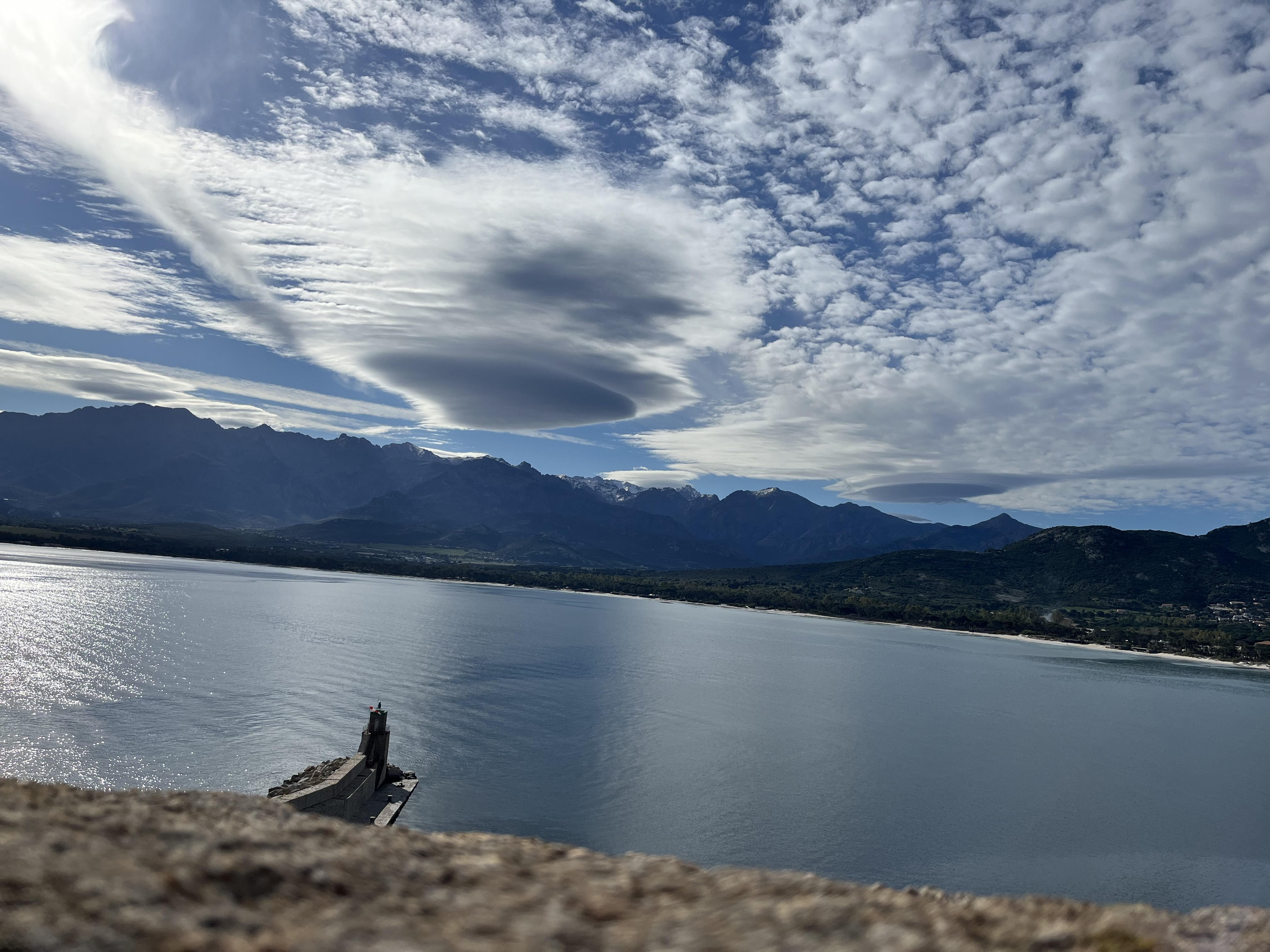 La photo du jour : a seppia balanina