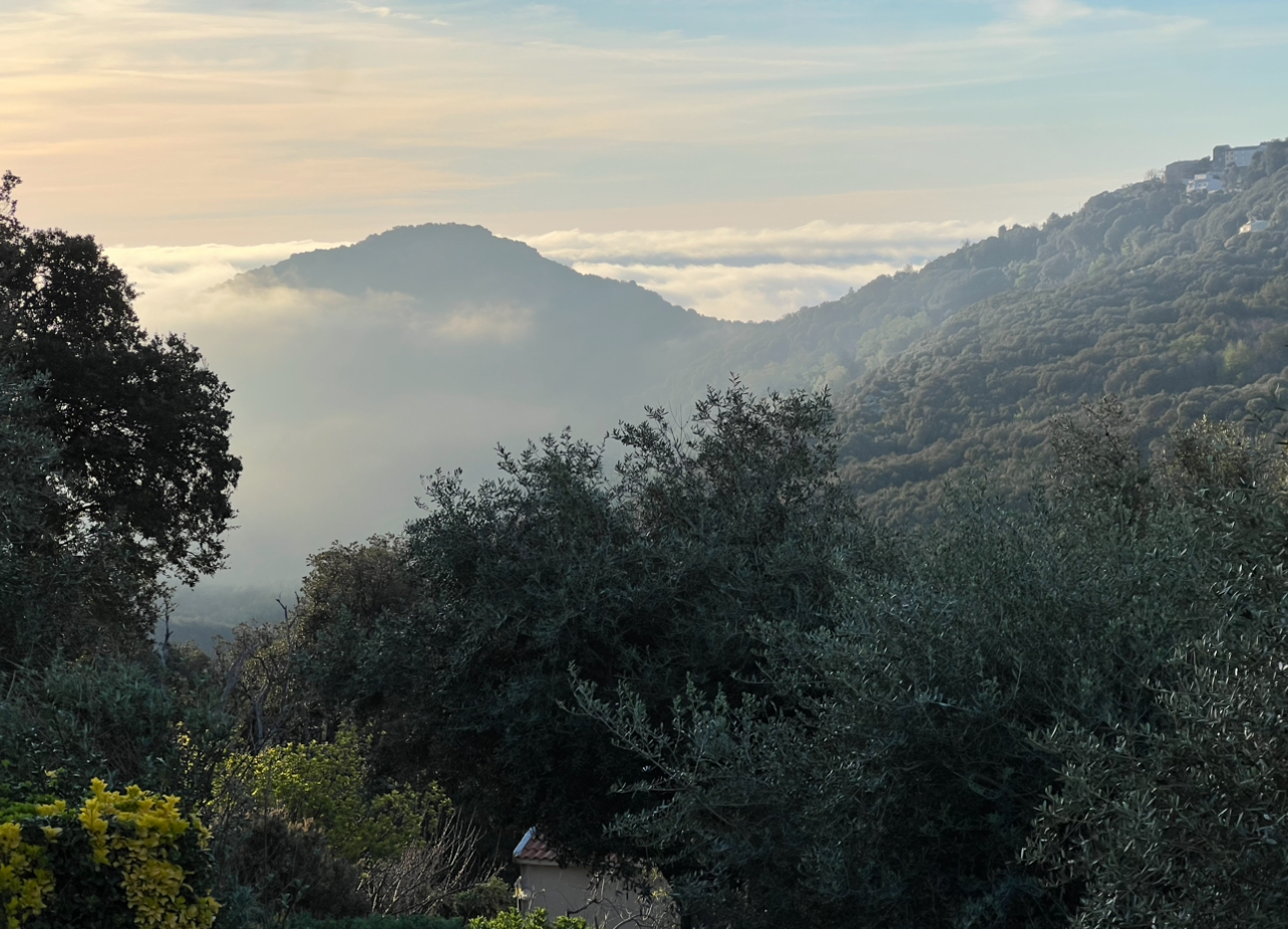 La météo du jour en Corse