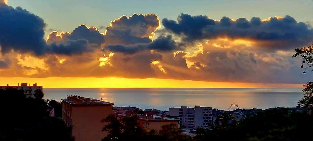 (Françoise Geronimi)