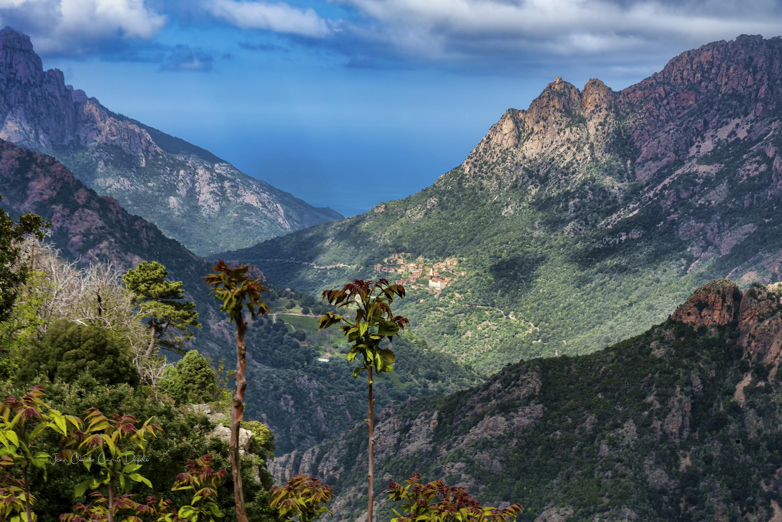 La photo du jour : Ota dans son merveilleux écrin