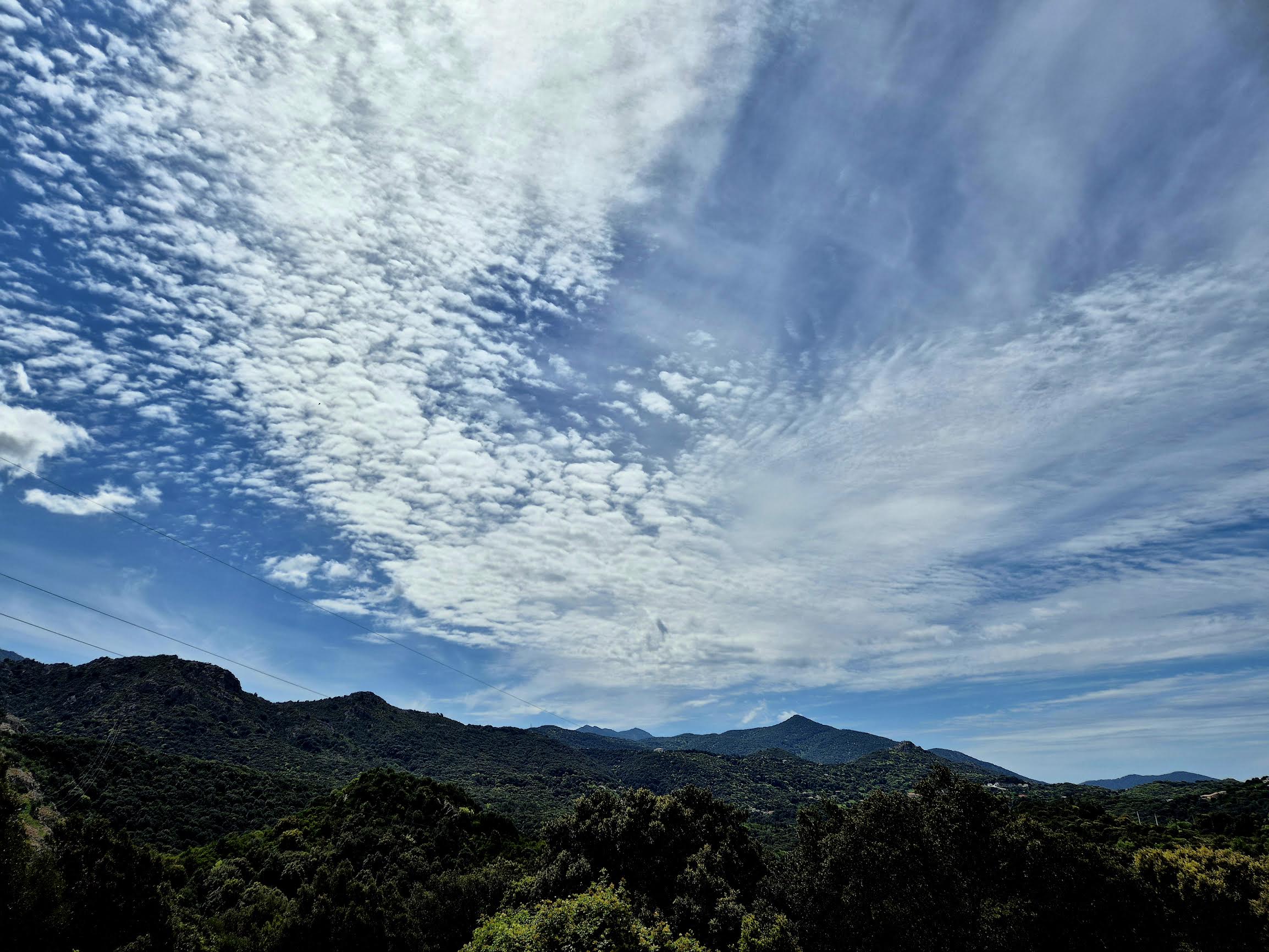 (Françoise Geronimi)