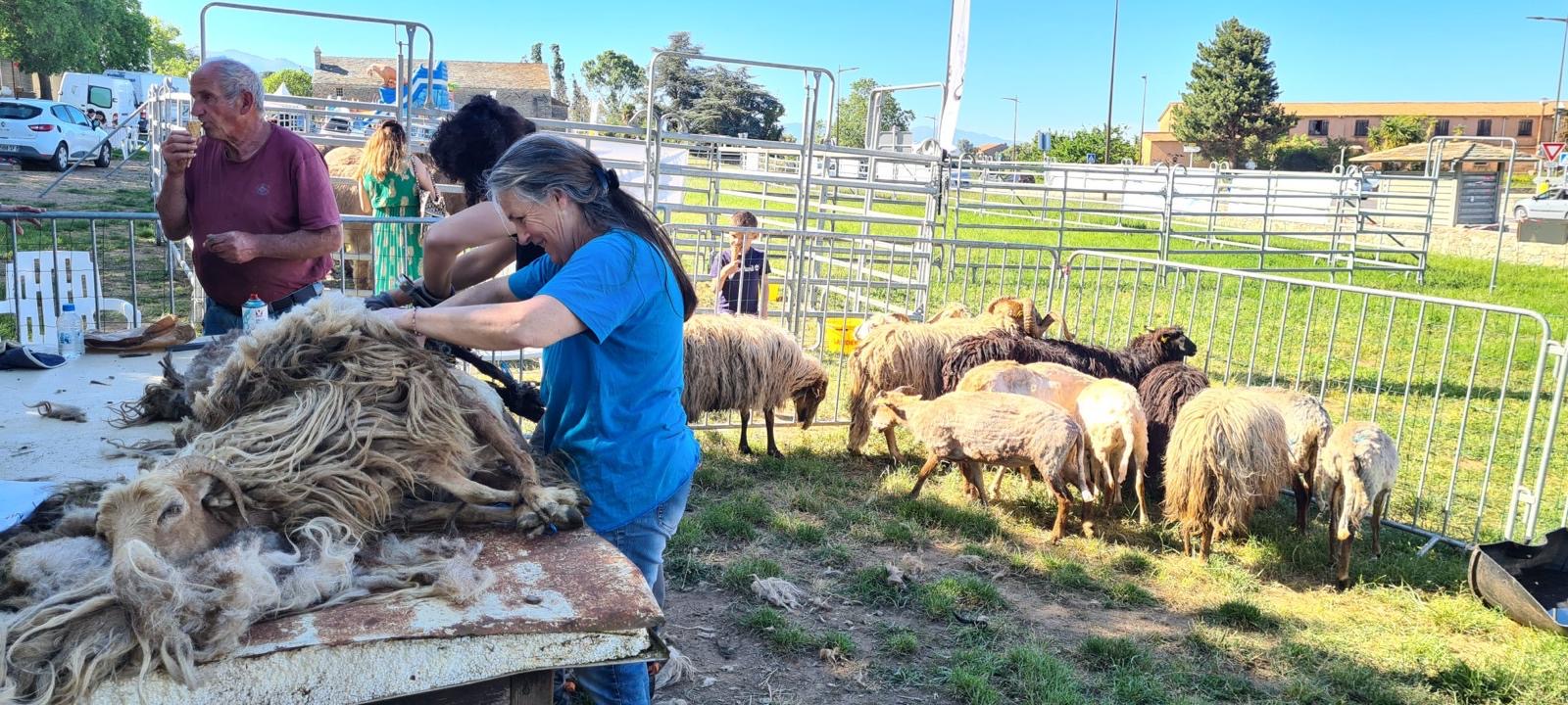 Castellare-di-Casinca fête la San Brancà