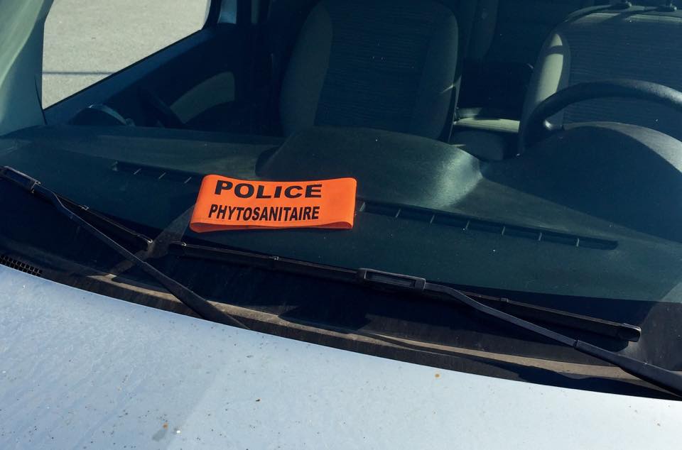 Mobilisation et périmètre isolé à Propriano