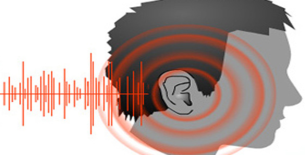 On le tolère, on le supporte et on craque !  Le bruit, cet ennemi ou ce lascia corre ?