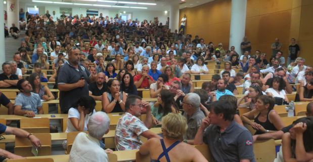 Xylella Fastidiosa : L'appel à la mobilsation des Corses