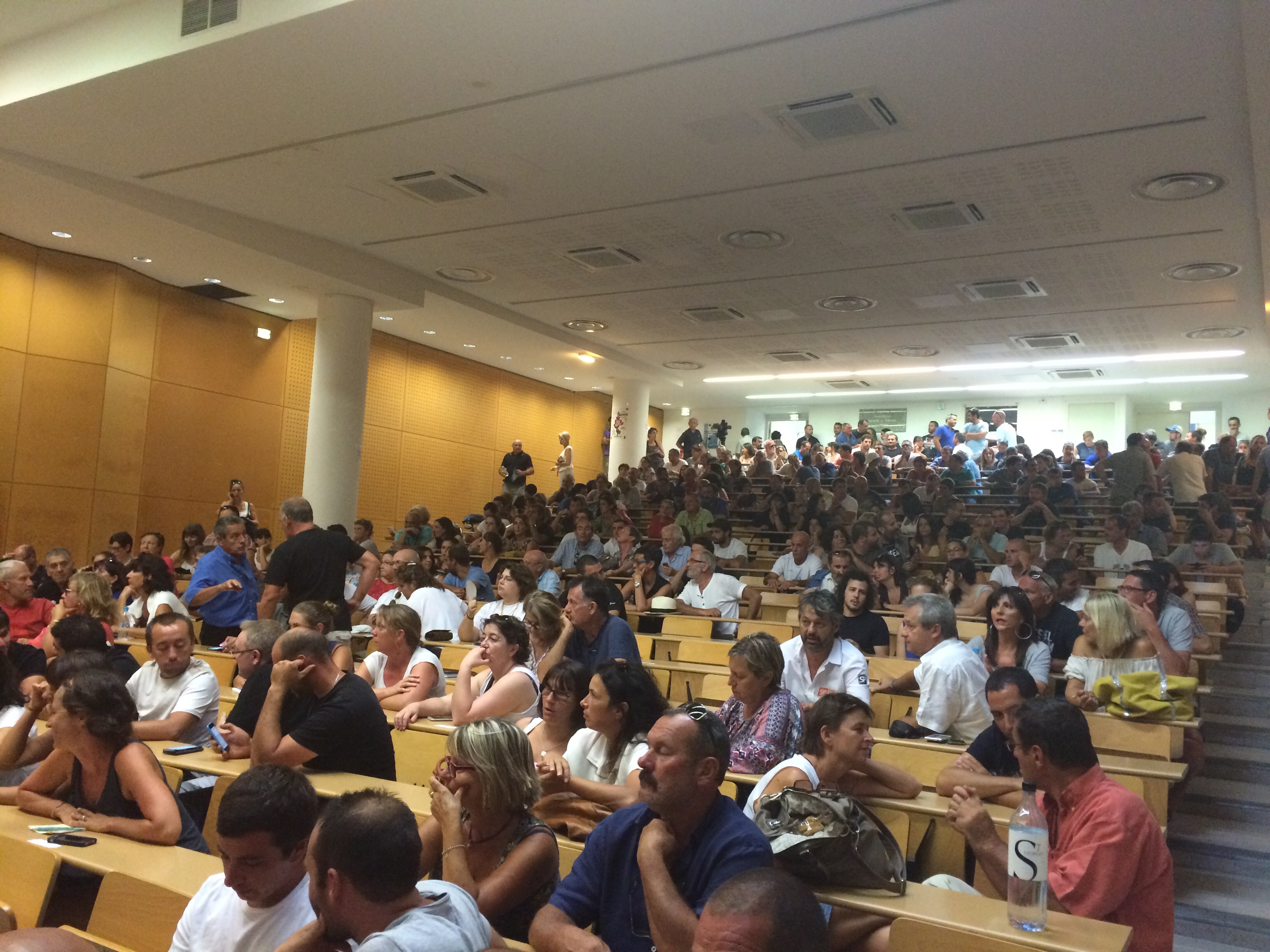 Corte : Xylella Fastidiosa ou la chronique d’une catastrophe annoncée