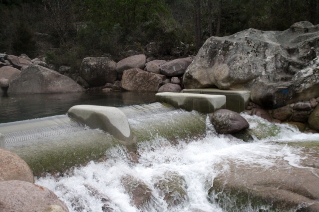 Sécheresse : Premières mesures d'interdiction et de restrictions de l'usage de l'eau en Balagne