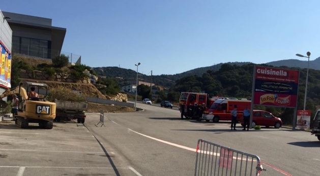 Xylella Fastidiosa : Alata, Cargèse, Porticcio et Serra-di-Ferro touchées à leur tour !