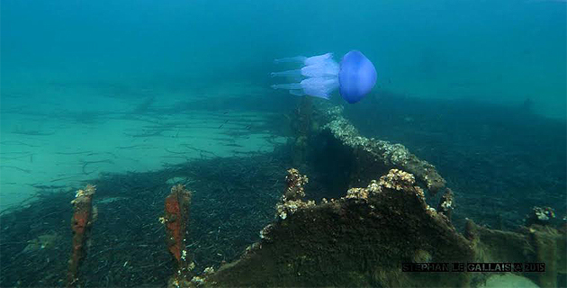 Les restes du "Champagne" retrouvés au large de la Marana