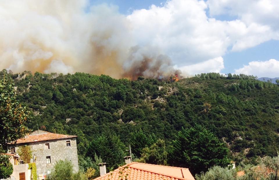 (Photo F.-Z. Orsoni)