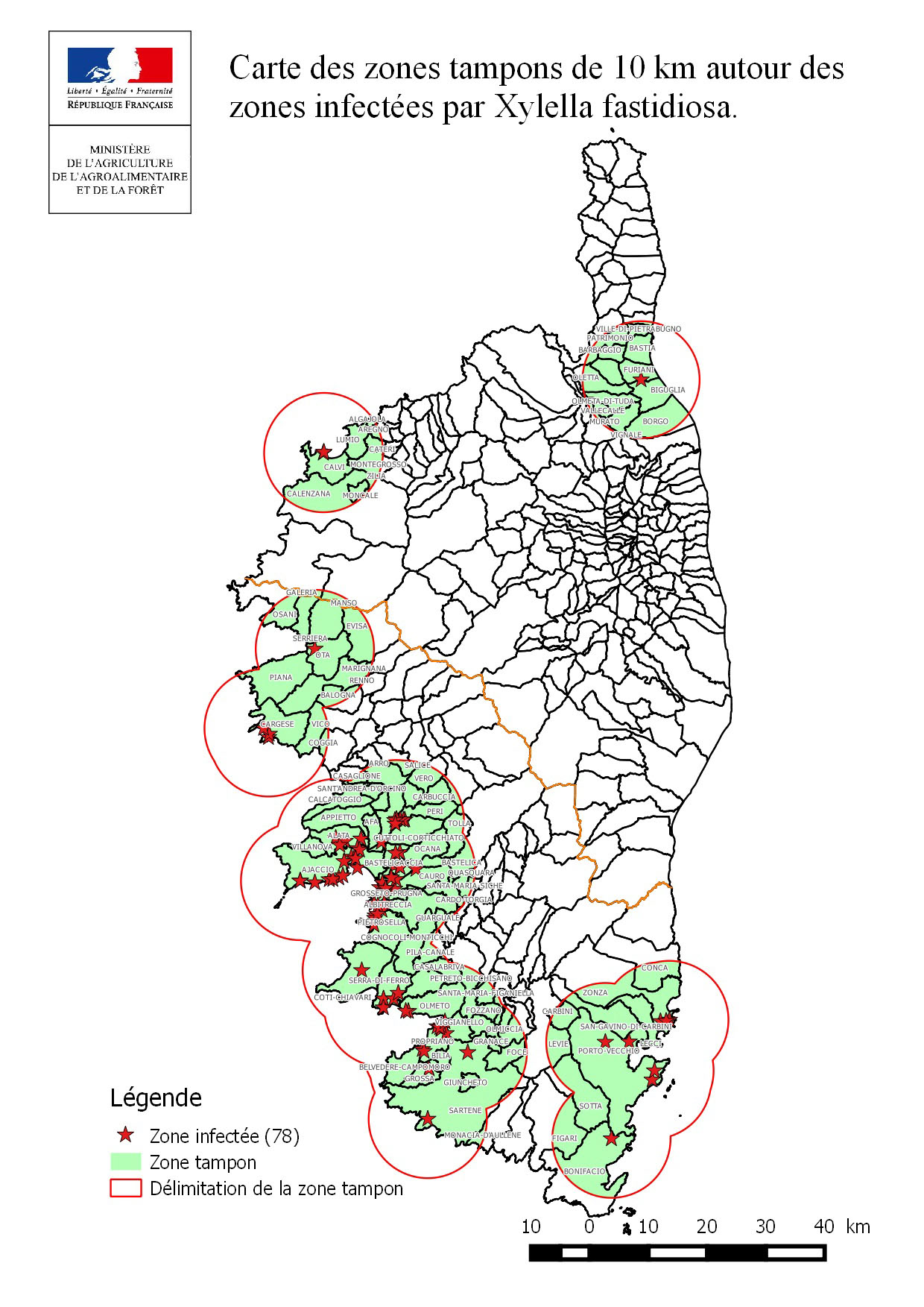 Xylella Fastidiosa: Opération de désinsectisation dans le centre-ville de Calvi