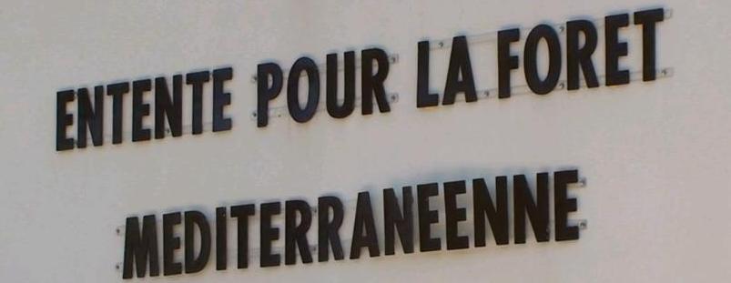 Charles Voglimacci élu vice-président l'Entente pour la forêt méditerranéenne