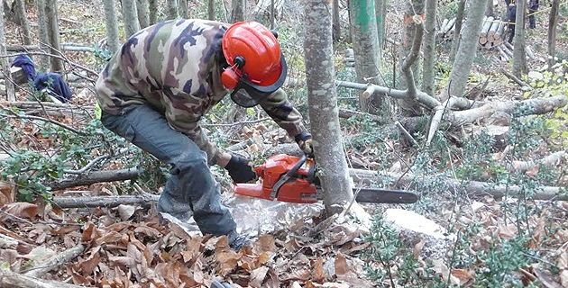 Le CFPPA de Sartène au cœur des formations agricoles en Corse-du-Sud