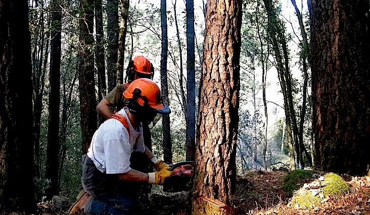 Le CFPPA de Sartène au cœur des formations agricoles en Corse-du-Sud