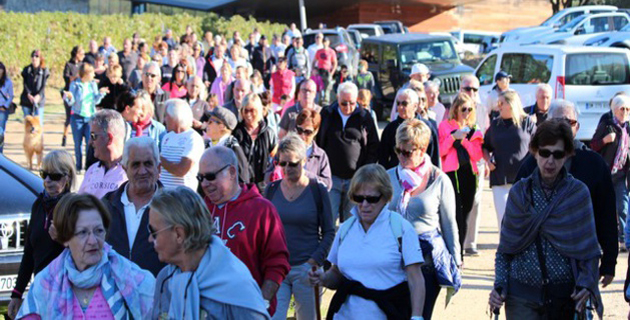 Un immense succès pour la Marche Bleue de Lumio