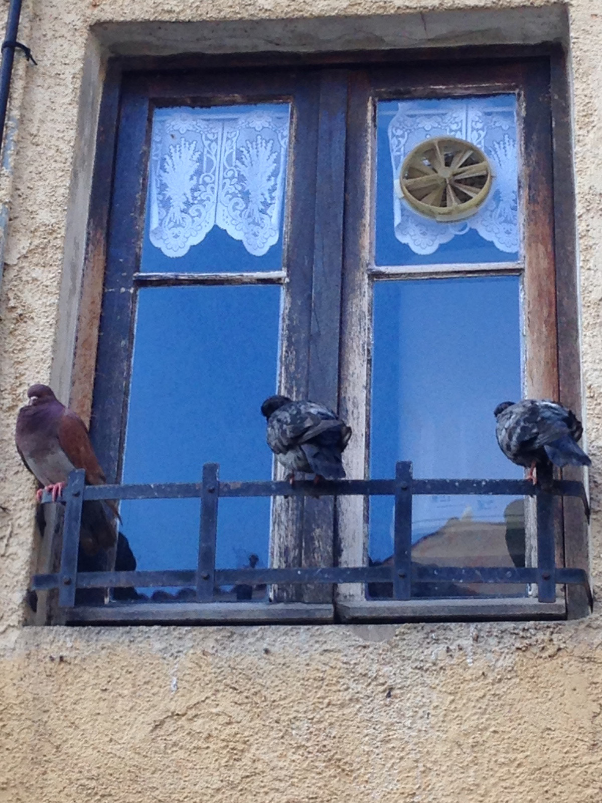 L'image du jour à Calvi