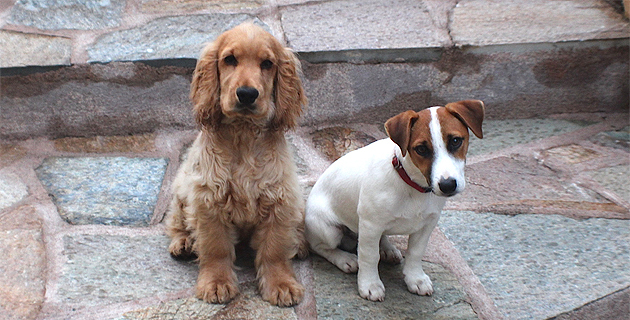 Quand "Libecciu" et "Jack" prennent la pose…