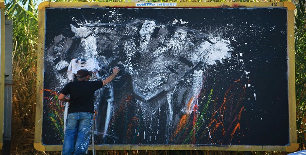 Photo Karine Cianfarani